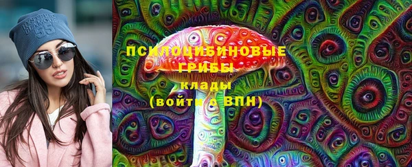 прущие грибы Навашино