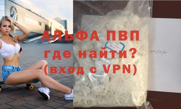 прущие грибы Навашино