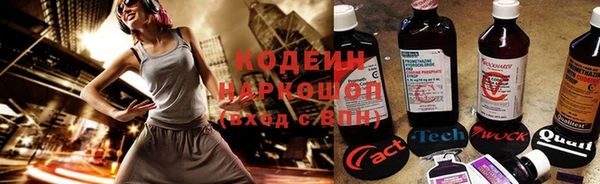 прущие грибы Навашино