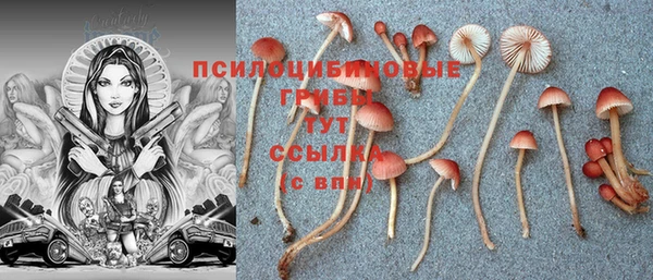 прущие грибы Навашино
